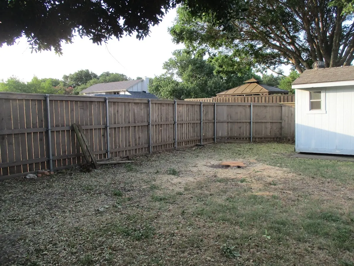 Cleared yard after professional tree removal in Ionia